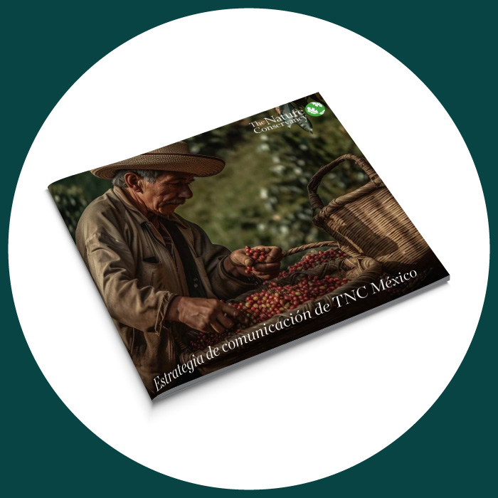 Estrategias de comunicación y relaciones públicas​