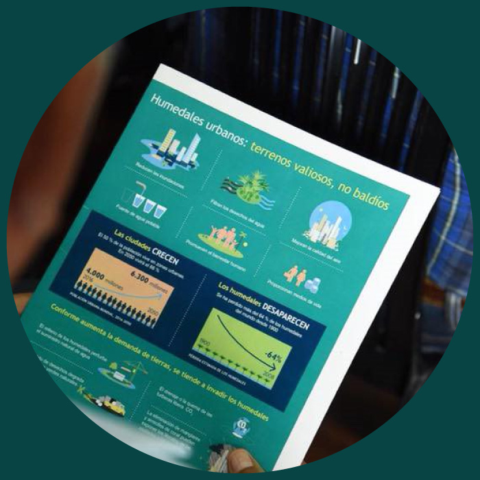 Diseño gráfico y editorial ​