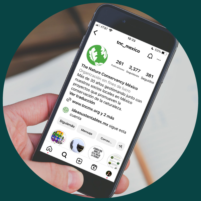 Gestión de redes sociales y diseño web